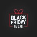 Black Friday Sale